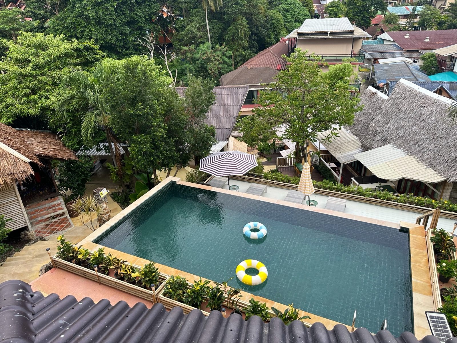 After: the same pool from the same spot, the water deeper in colour and the planting greener.